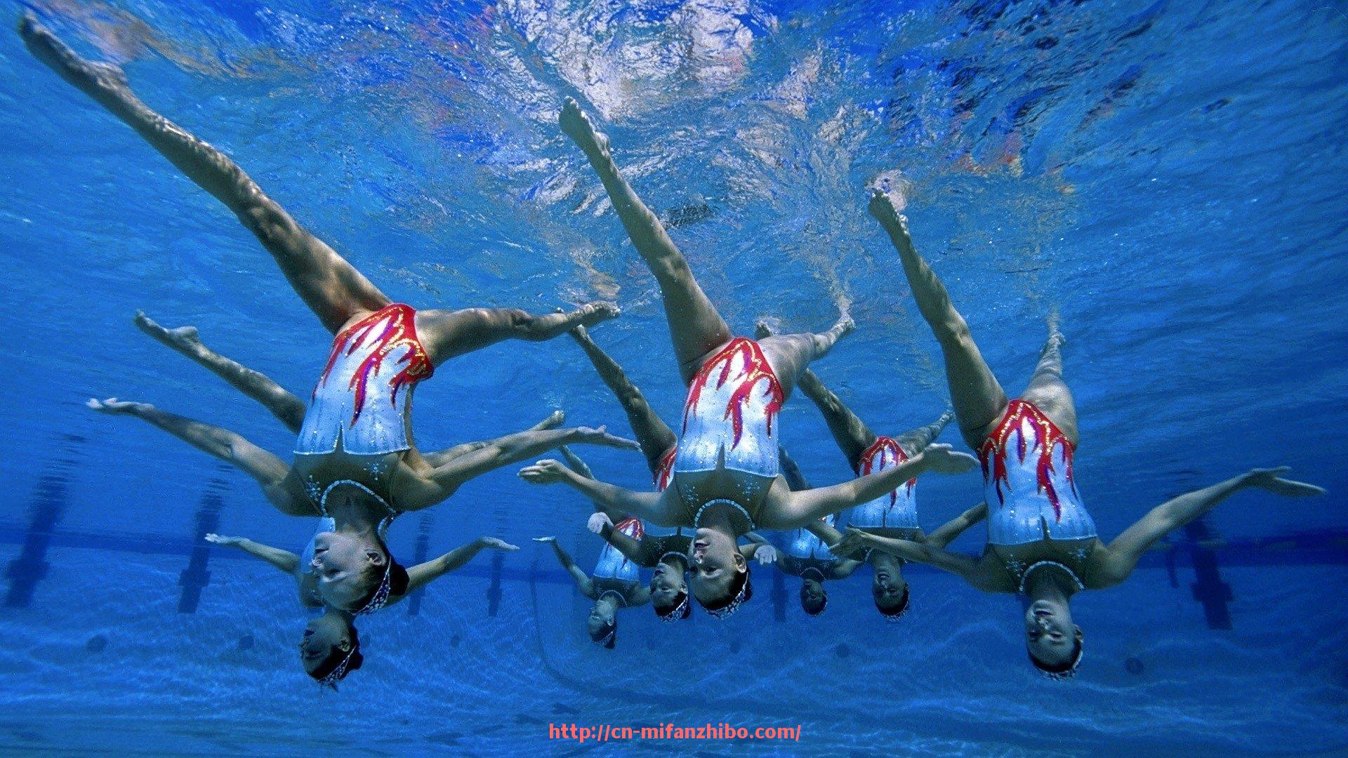 秘饭直播-健身器材使用图示大全：帮助用户快速上手训练