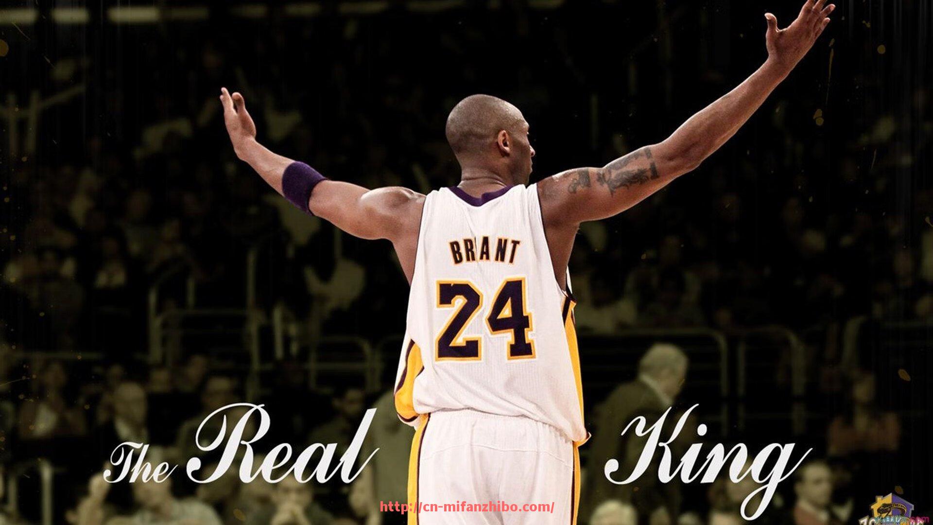 秘饭直播-法甲2023-2024赛季总结报告：球队表现及未来发展方向